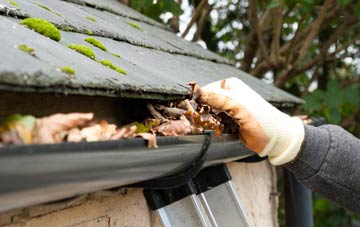 gutter cleaning Hollocombe Town, Devon