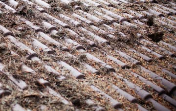 Hollocombe Town roof cleaning companies