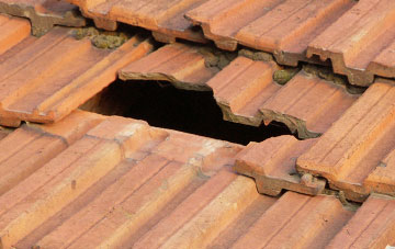 roof repair Hollocombe Town, Devon