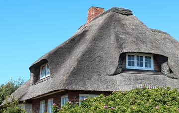 thatch roofing Hollocombe Town, Devon