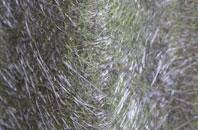 Hollocombe Town fibreglass roof work